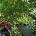 Pustolovski park Betnava