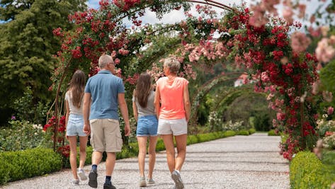Botanični vrt - Univerze v Mariboru