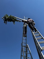 Ko zapojejo klopotci