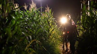 Nocni koruzni labirnt