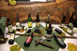 DRUŠTVO VINOGRADNIKOV