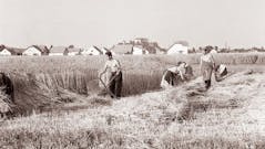 TD Starše in Društvo Ajda