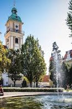 Stolnica z razglednim stolpom