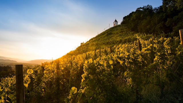 piramida_vinski-gric_maribor_pohorje_slovenija_slovenia_shutterstockjure-kralj
