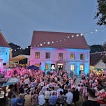 Pesnica_muzej_Alfi_Nipič