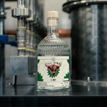 stajerska sredisce ob dravi pivovarna skoliber