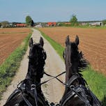 stajerska-kidicevo-nazaj_na_konja