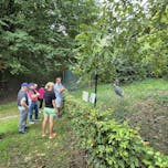 Park prostoživečih živali Destrnik