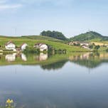 Pesnica - Perniško jezero