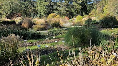 Jesen v botaničnem vrtu