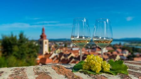 ptuj_Image-fotografije_vino-in-kulinarika_Mankica-Kranjec_2018_2-1