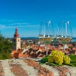 Ptuj - Wine and Gastronomy