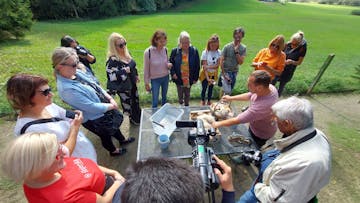 Alpaka ranč Slovenija - Poljčane - študijska tura