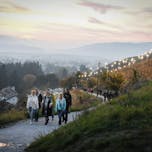 MOM_dan_mb_2021_10_20_piramida_MP7_5747_pigac_si-1440x960