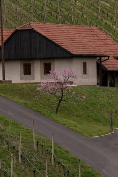 Krajnc Wein
