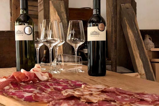 presa-degustacija-vinogradnistvo-hisa-ramsak-visit-maribor