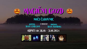 magični gozd1