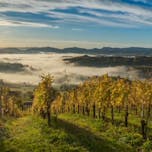 Sub-region Šmarje-Virštanj