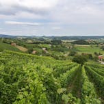 Sub-region Šmarje-Virštanj