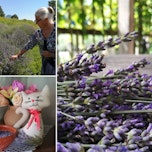 Muzej na prostem Rogatec