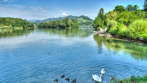 Maribor_Reka_Drava_Pomlad_Erich_Reisinger