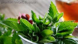 Klepet in druženje ob zeliščnem čaju