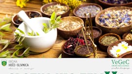 Spoznajmo zelišča - srečanje z Borutom Cerkveničem