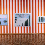 Prešernov dan v UGM