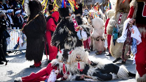 Dan kurentovih in korantovih skupin