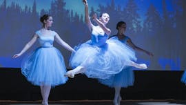 LABODJE JEZERO OB SOJU SVEČ