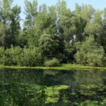 Središče ob Dravi Landscape Park