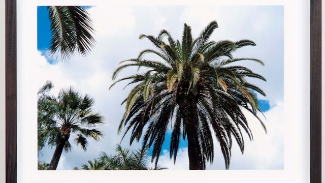 8a575060-0961-46d6-b86a-22f73eddb501