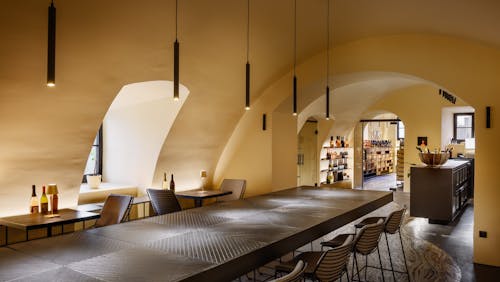 Brezplačno vodenje v Najstarejši trti