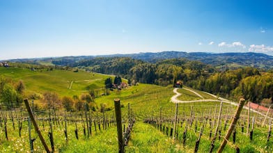 Praznik pomladi v Svečini