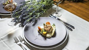 PRIMUSOVE VINSKE ZGODBE