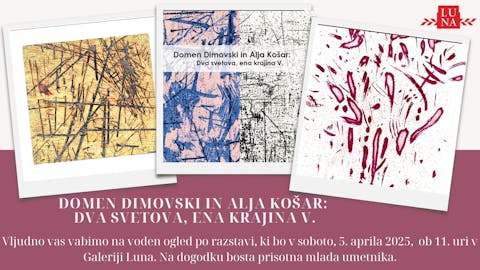 VODEN OGLED PO RAZSTAVI DOMEN DIMOVSKI IN ALJA KOŠAR: DVA SVETOVA, ENA KRAJINA V.