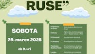 Čistilna akcija "Očistimo Ruše" 2025