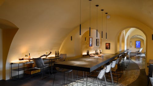 Odprte hiše Slovenije: Ogled Najstarejše trte