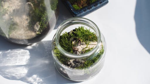 Dan Zemlje in reciklaža pohištva z Larinim centrom za ustvarjanje, umetnost in rast