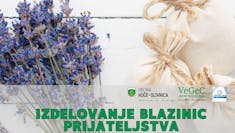 Izdelava blazinic prijateljstva - ustvarjalna delavnica