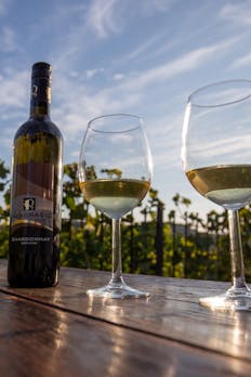 kmecki_turizem_pungracic_vino_1