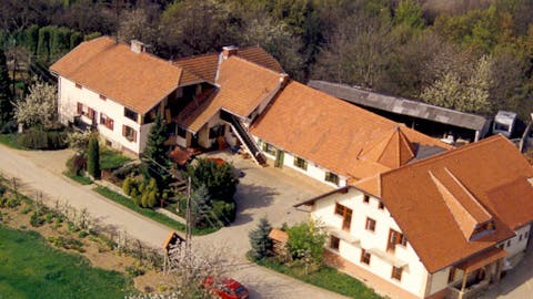 Turistična kmetija Toplak