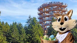 Velikonočna igra na Poti med krošnjami