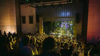 Festival lent: Minoriti