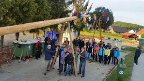 Postavljanje prvomajskih dreves