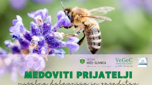 Medoviti prijatelji - miselna delavnica in zasaditev medovitih rastlin