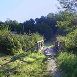 Zdravilni park Sveta Trojica