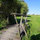 Zdravilni park Sveta Trojica