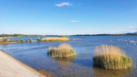 5124-ormosko_jezero_ormoz_haloze_moja_jezera_jezera_slovenije_manca_korelc_5-63df698c69d796da