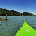 krajinski-park-mariborsko-jezero_junij-2020_karmen-razlag-1